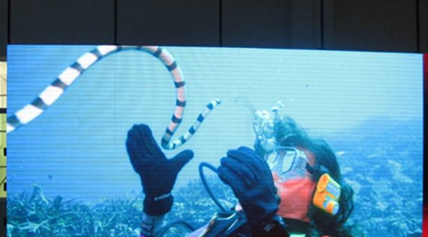 美股四次熔斷，會對室內全彩led顯示屏行業造成怎樣的影響呢